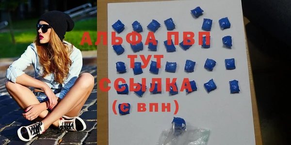 твердый Вяземский