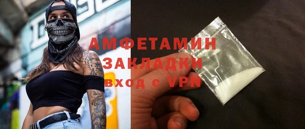 гидра Вязьма