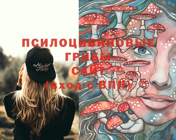 твердый Вяземский
