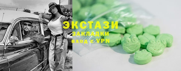 гидра Вязьма