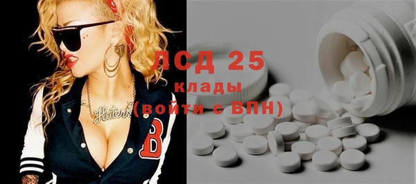 гидра Вязьма