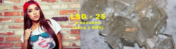 гидра Вязьма