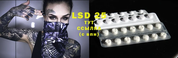 твердый Вяземский