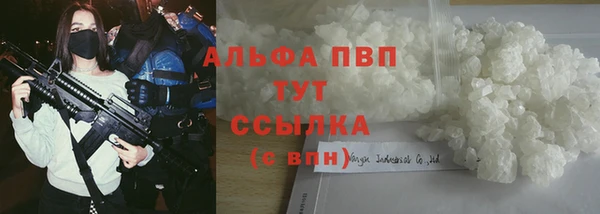 гидра Вязьма