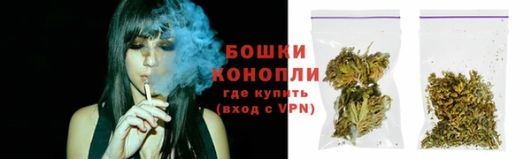твердый Вяземский