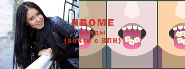 гидра Вязьма