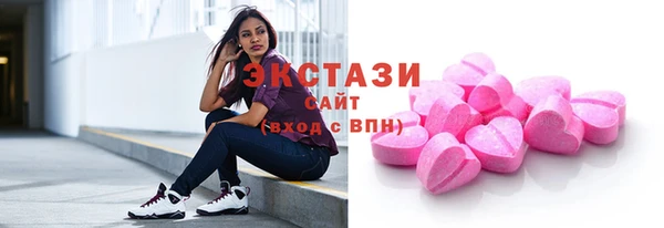 гидра Вязьма
