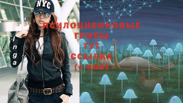 твердый Вяземский