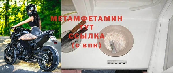 гидра Вязьма