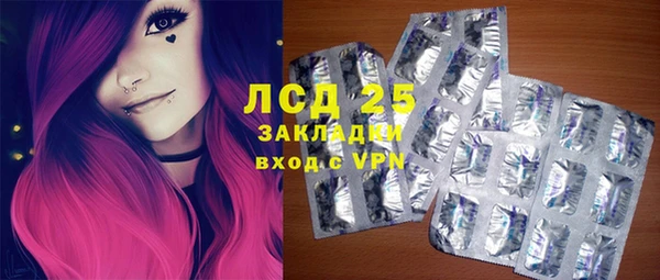 гидра Вязьма